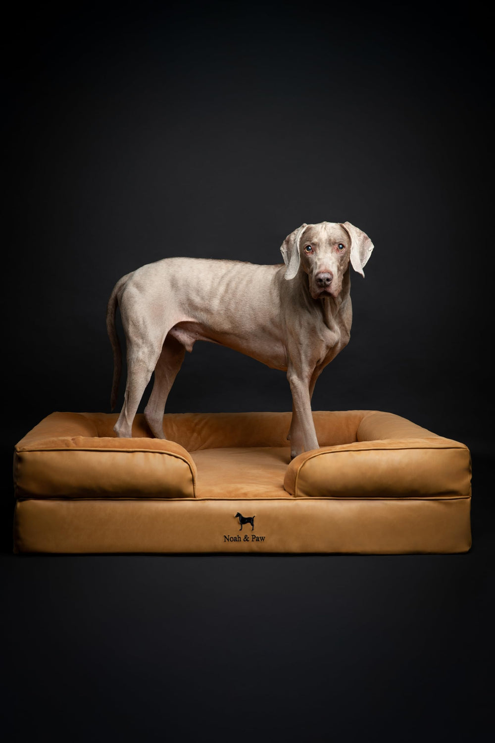 Noah & Paw XL: lavage en machine pour un entretien simple.