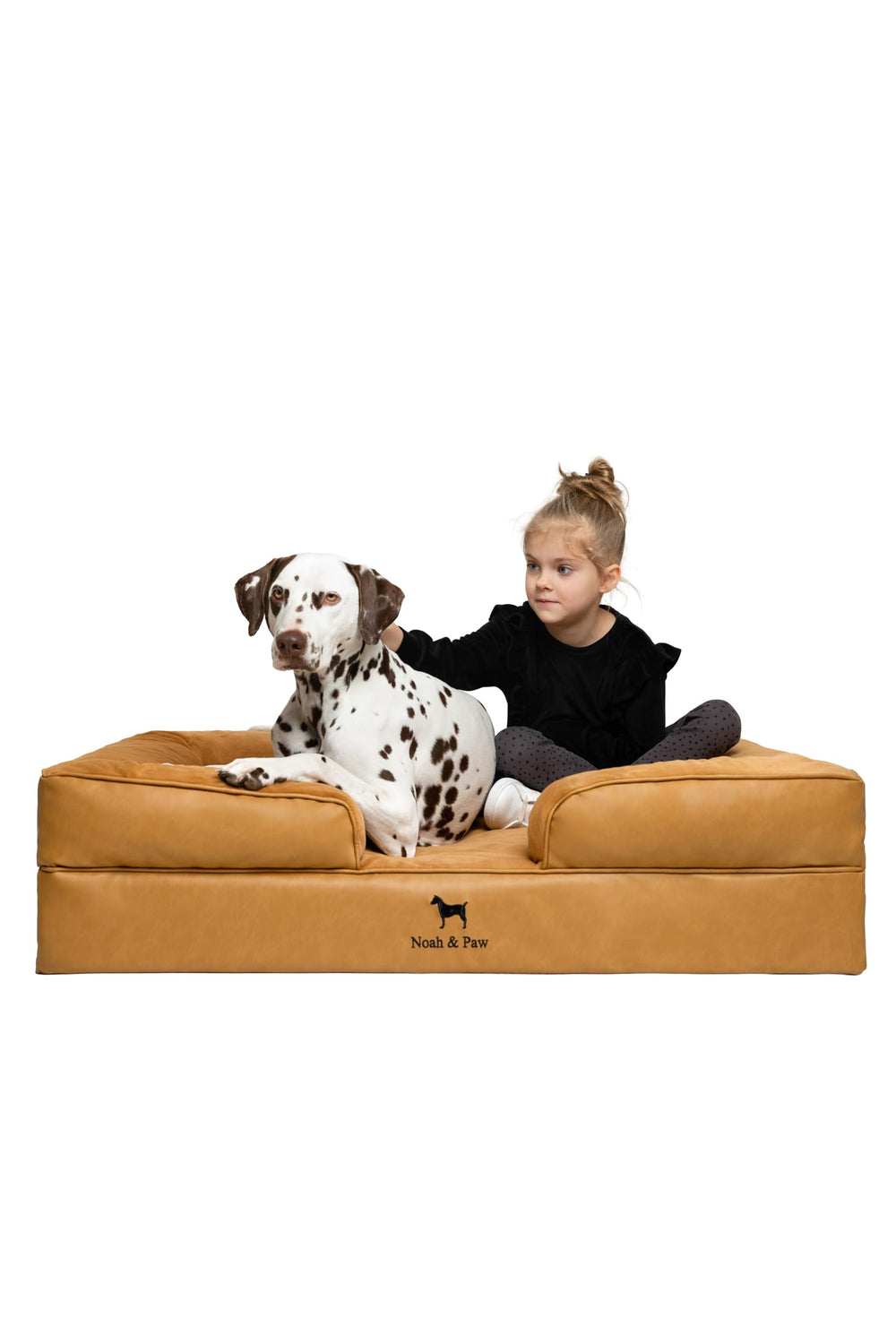 Noah & Paw XL: lit chien mémoire-gel-refroidissant pour un confort durable.