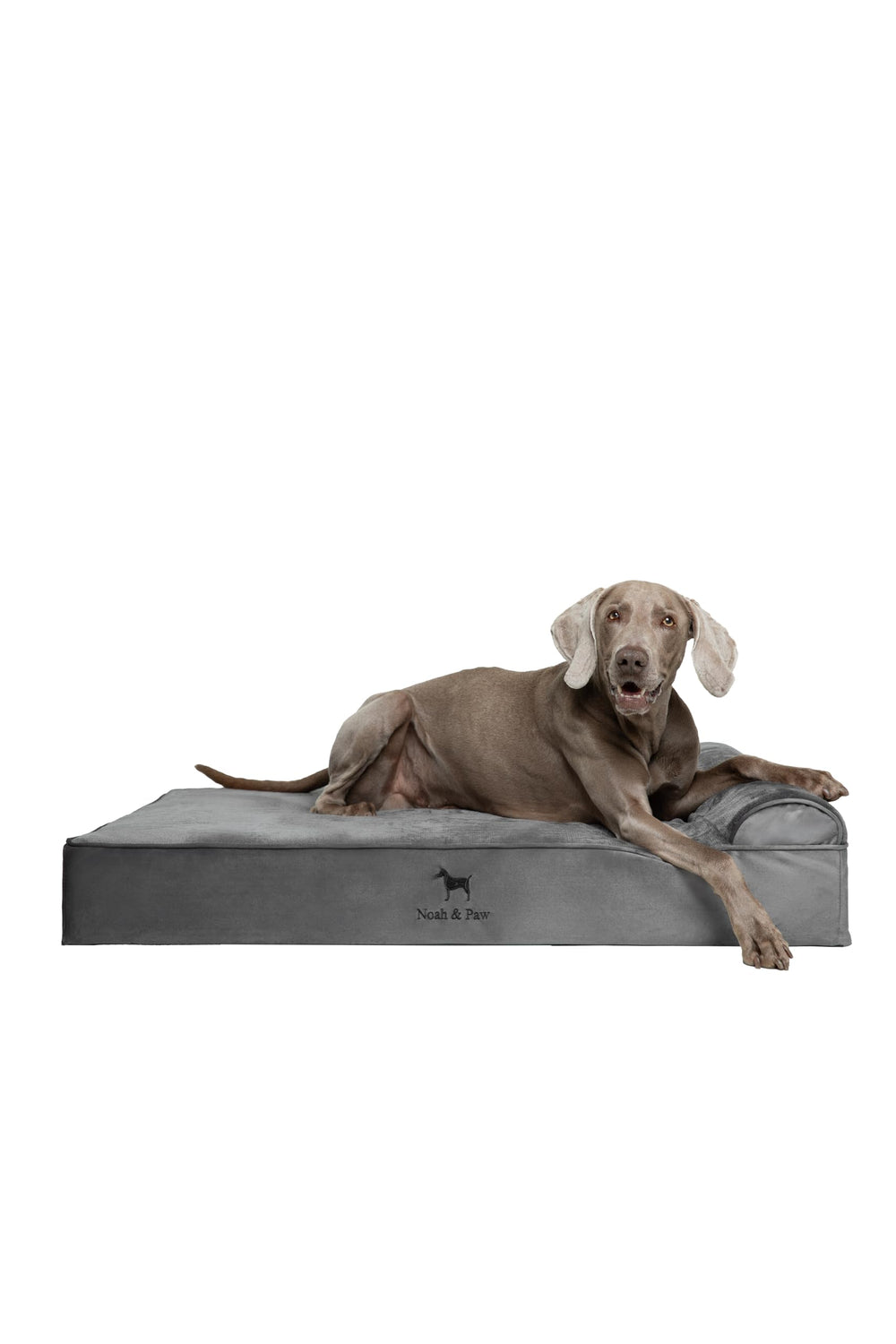 NOAH & PAW XL lit chien orthopédique, soutien durable pour grands chiens