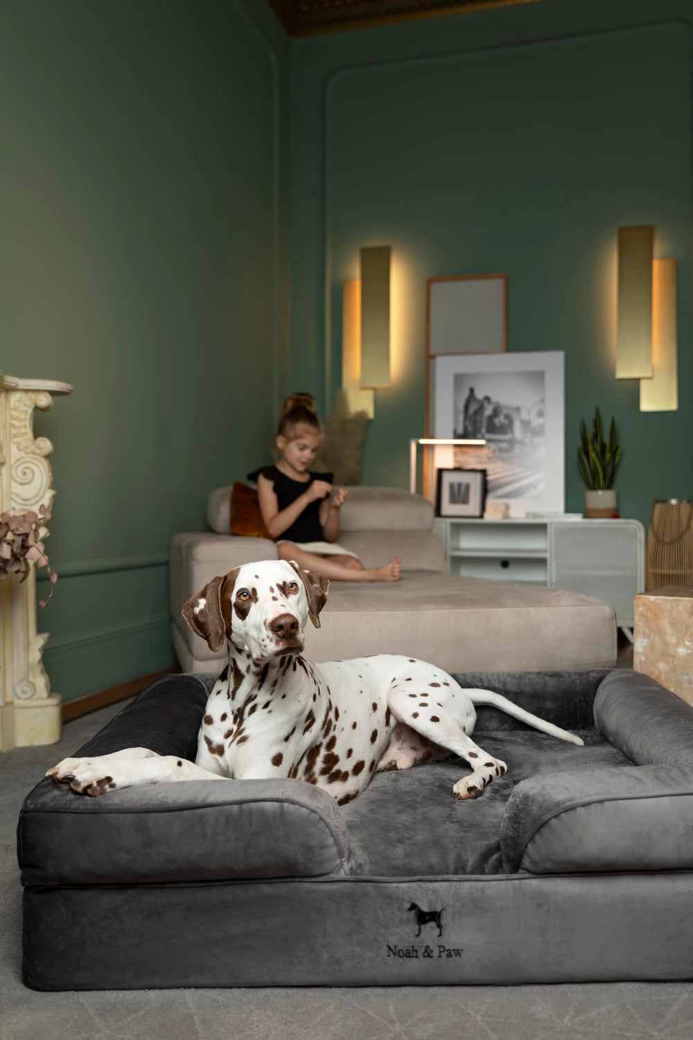 NOAH & PAW XL – double housses pour propreté et longévité.
