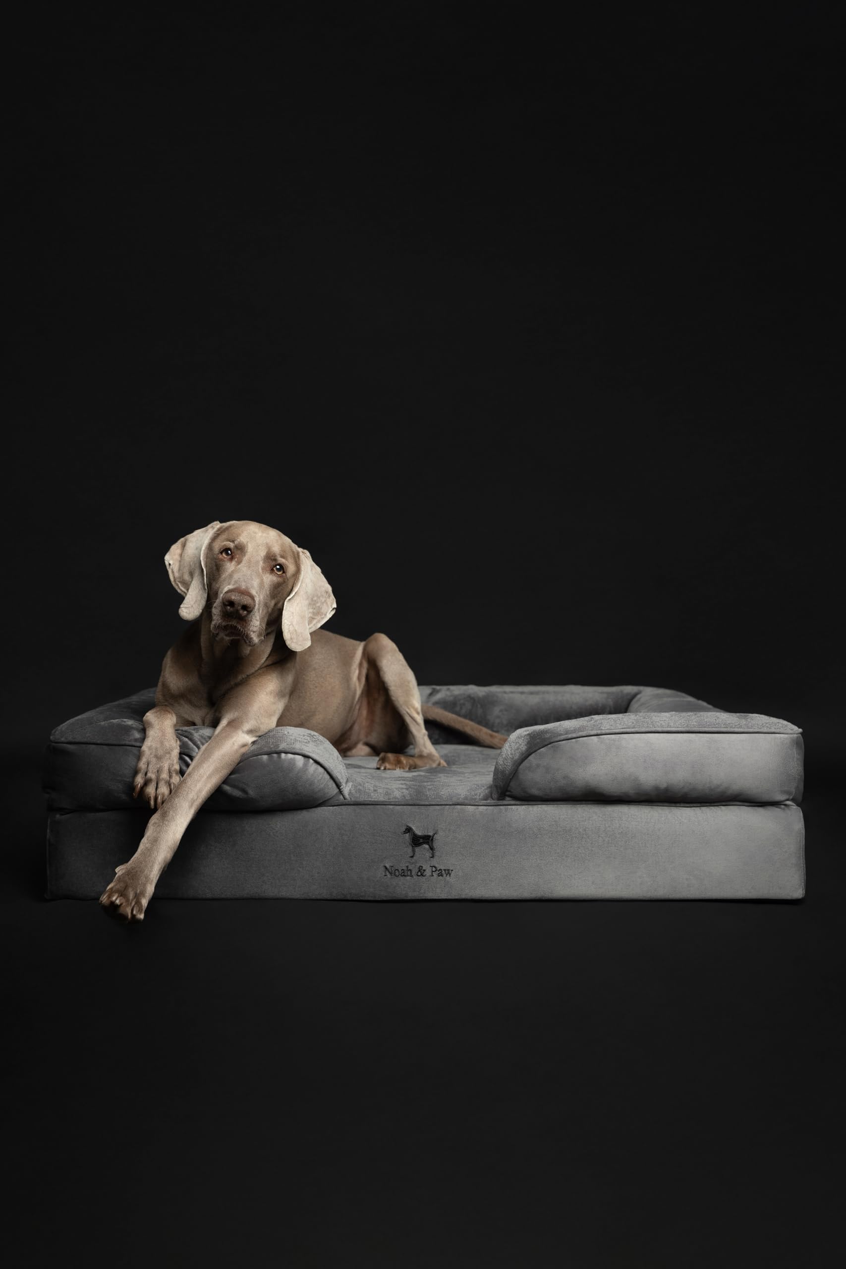NOAH & PAW XL – mousse mémoire et gel frais qui épouse les contours.
