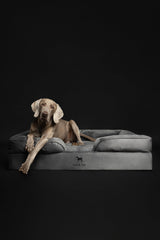 NOAH & PAW XL – mousse mémoire et gel frais qui épouse les contours.