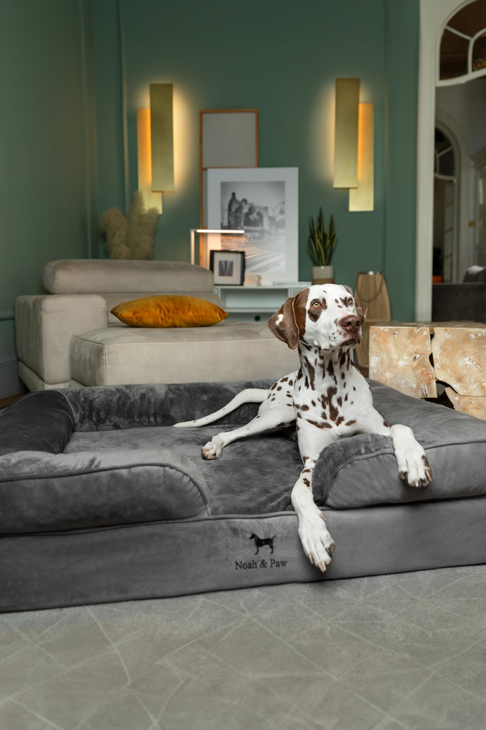 NOAH & PAW XL – oreiller de soutien 5 pouces pour le confort des articulations.