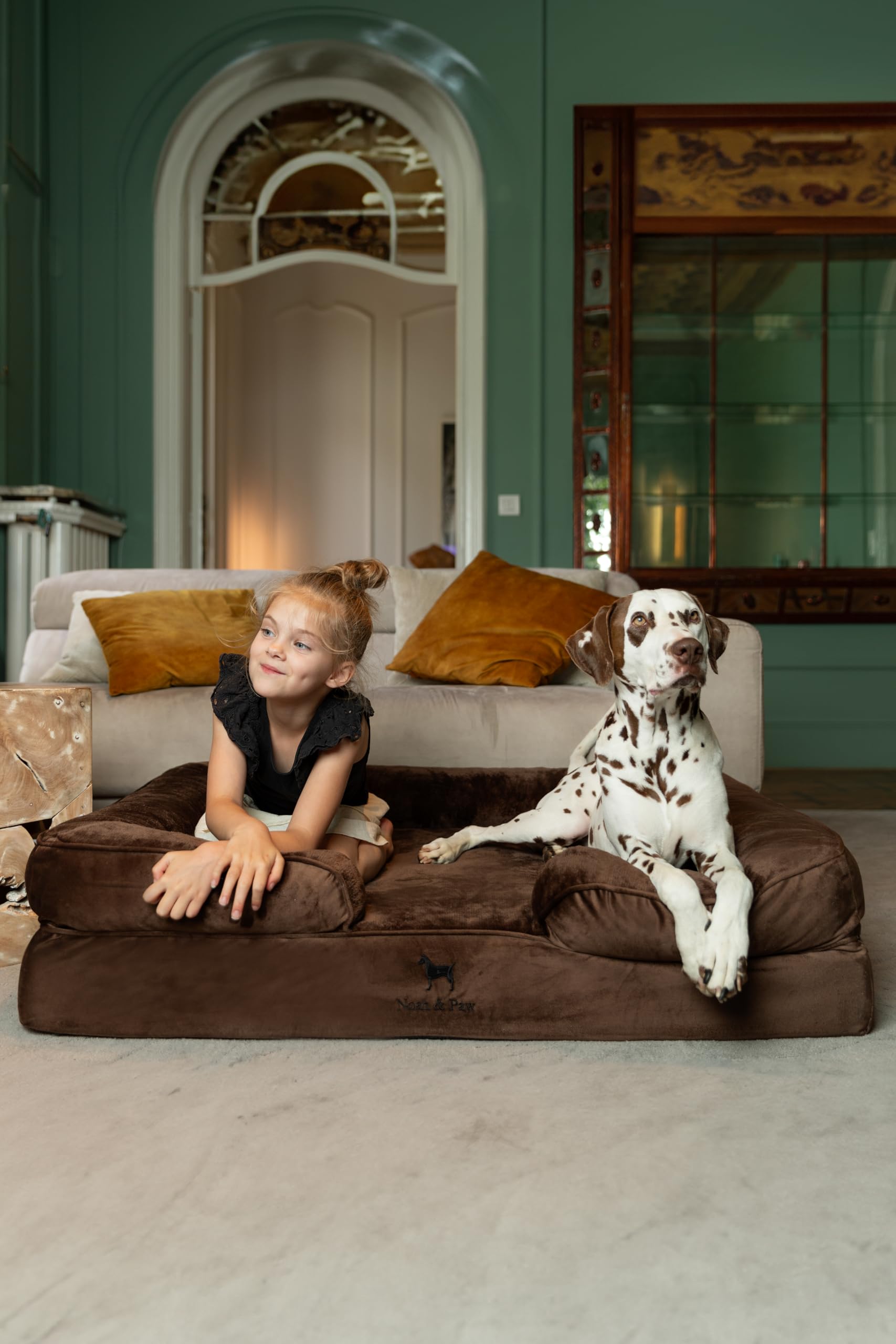 NOAH et PAW XL mousse mémoire et gel frais pour un repos plus frais.