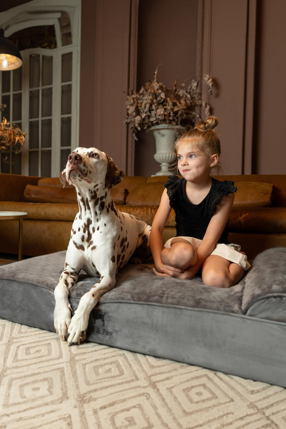 NOAH & PAW XL mousse mémoire gel rafraîchissant pour chien