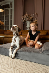 NOAH & PAW XL mousse mémoire gel rafraîchissant pour chien