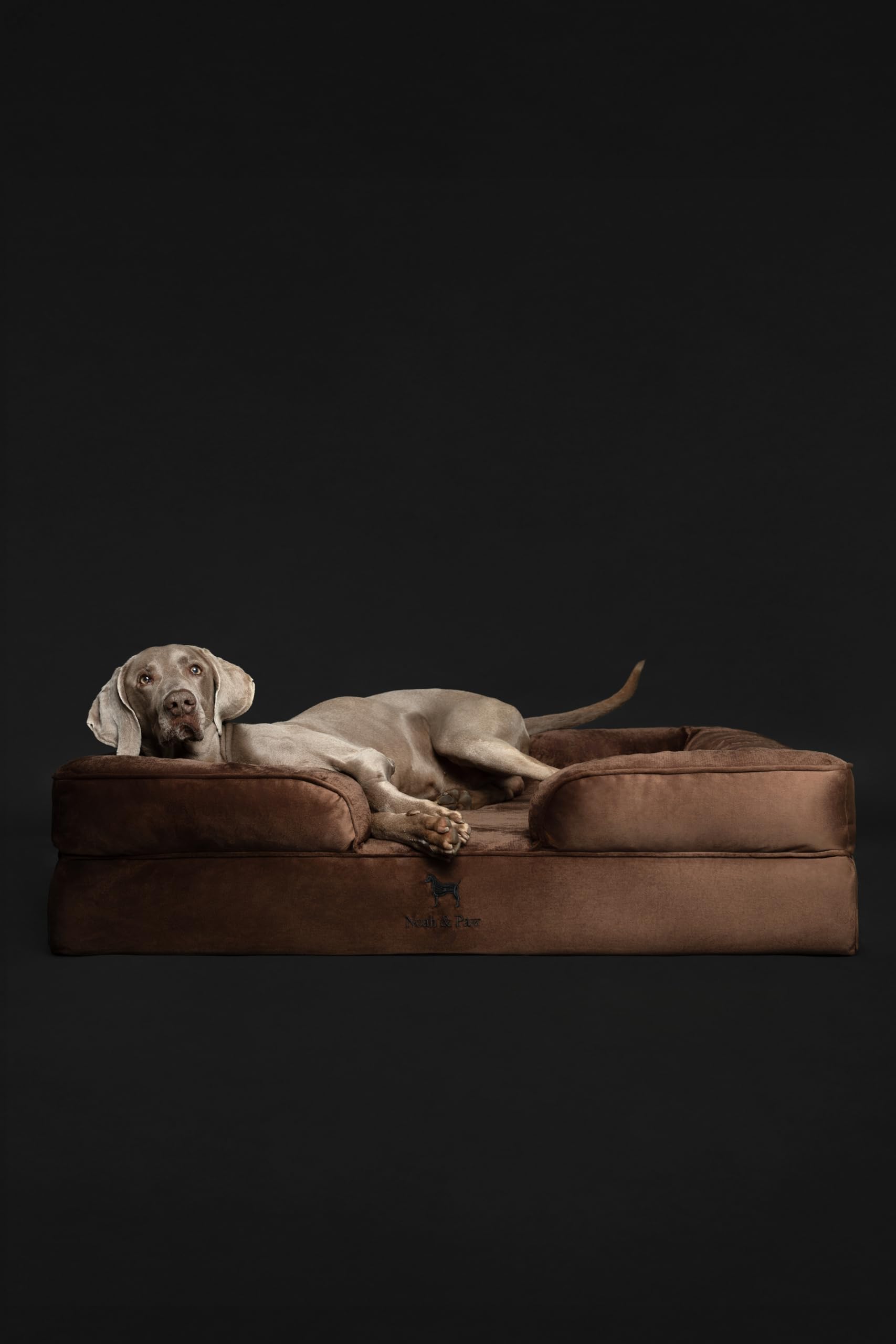 NOAH et PAW XL velours doux pour un couchage luxueux.