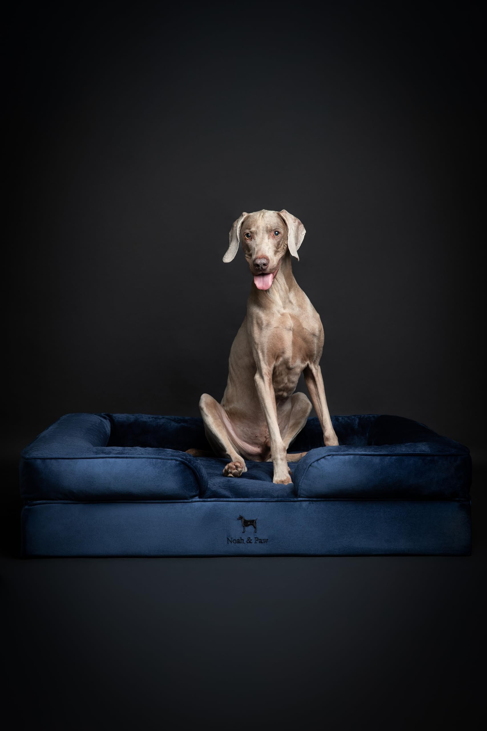 NOAH & PAW XL structure à 3 couches: stabilité et soutien renforcé.