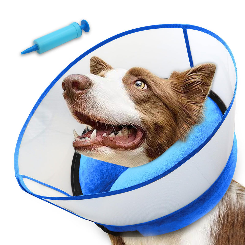 NoarWin collier inflable pour chien 2-en-1, confort et stabilité.