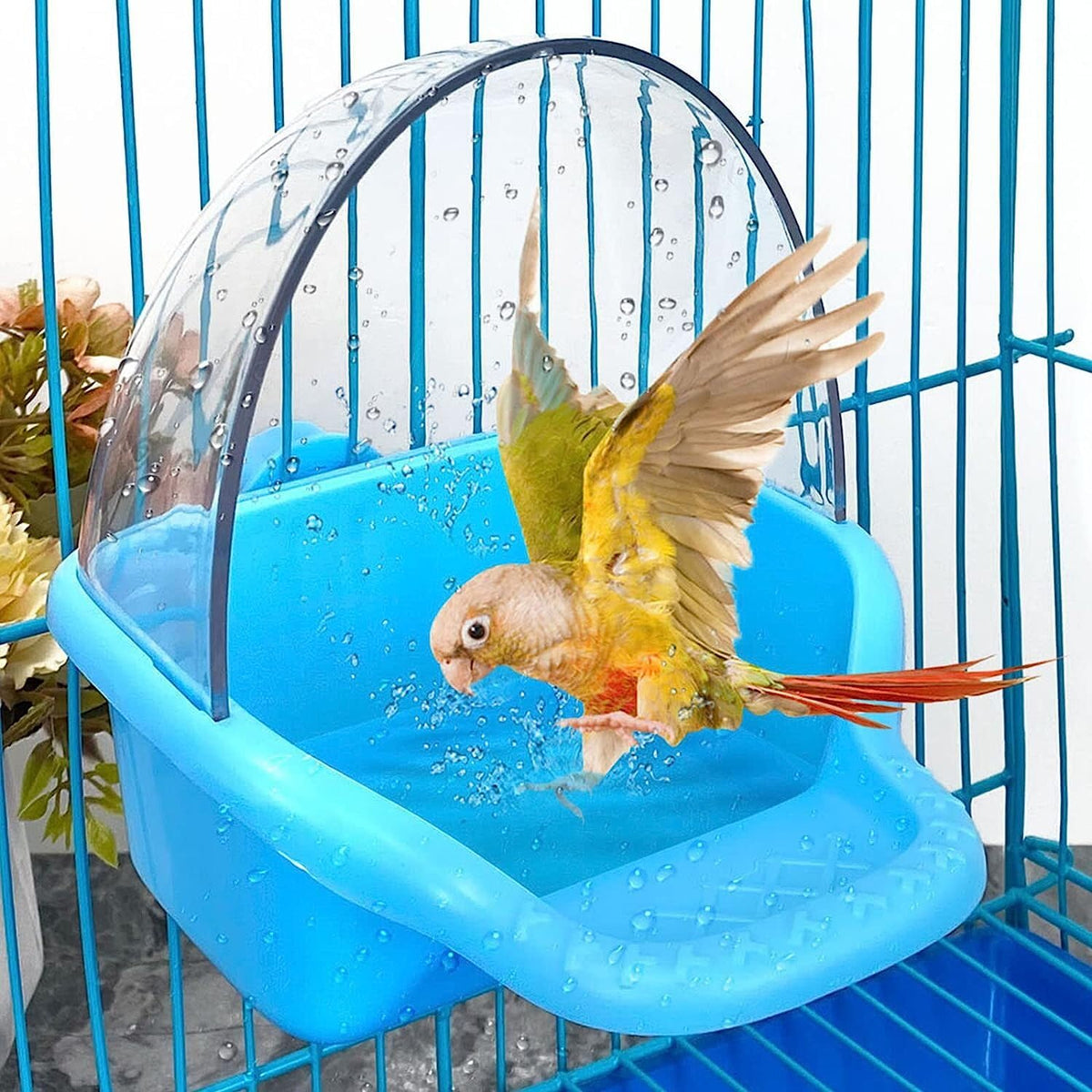 Boîte bain Nobgum pour cage suspendue, pratique et hygiénique.