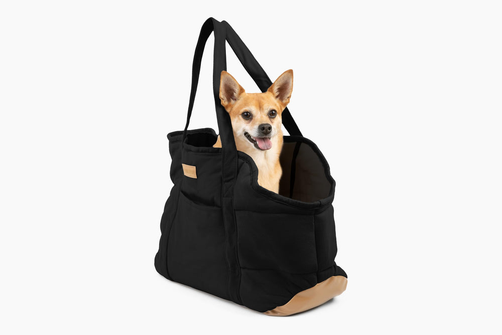 NoblePup garnissage-mousse offre un soutien doux au chien.