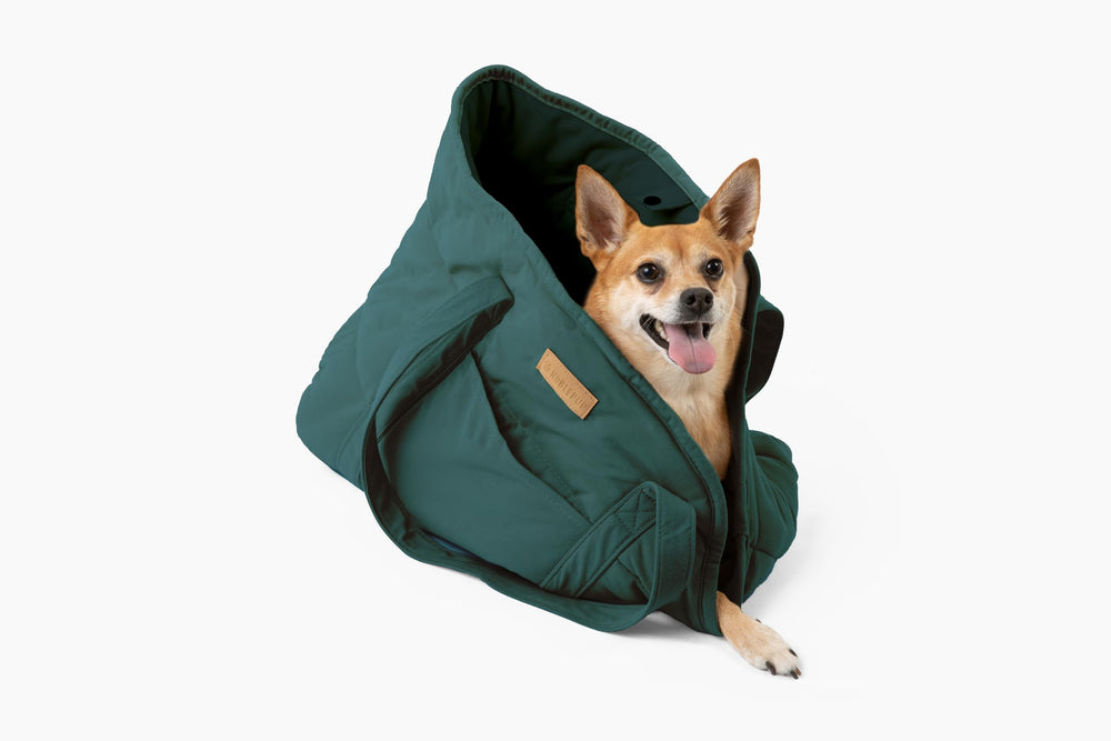 NoblePup mousse coussin pour un soutien doux.
