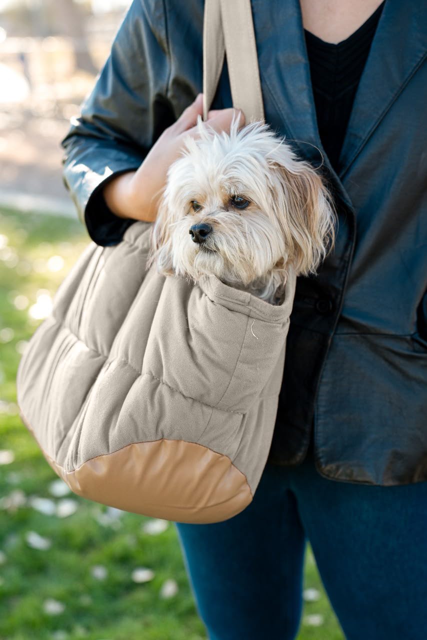 NoblePup utilisation quotidienne pratique pour sorties en ville