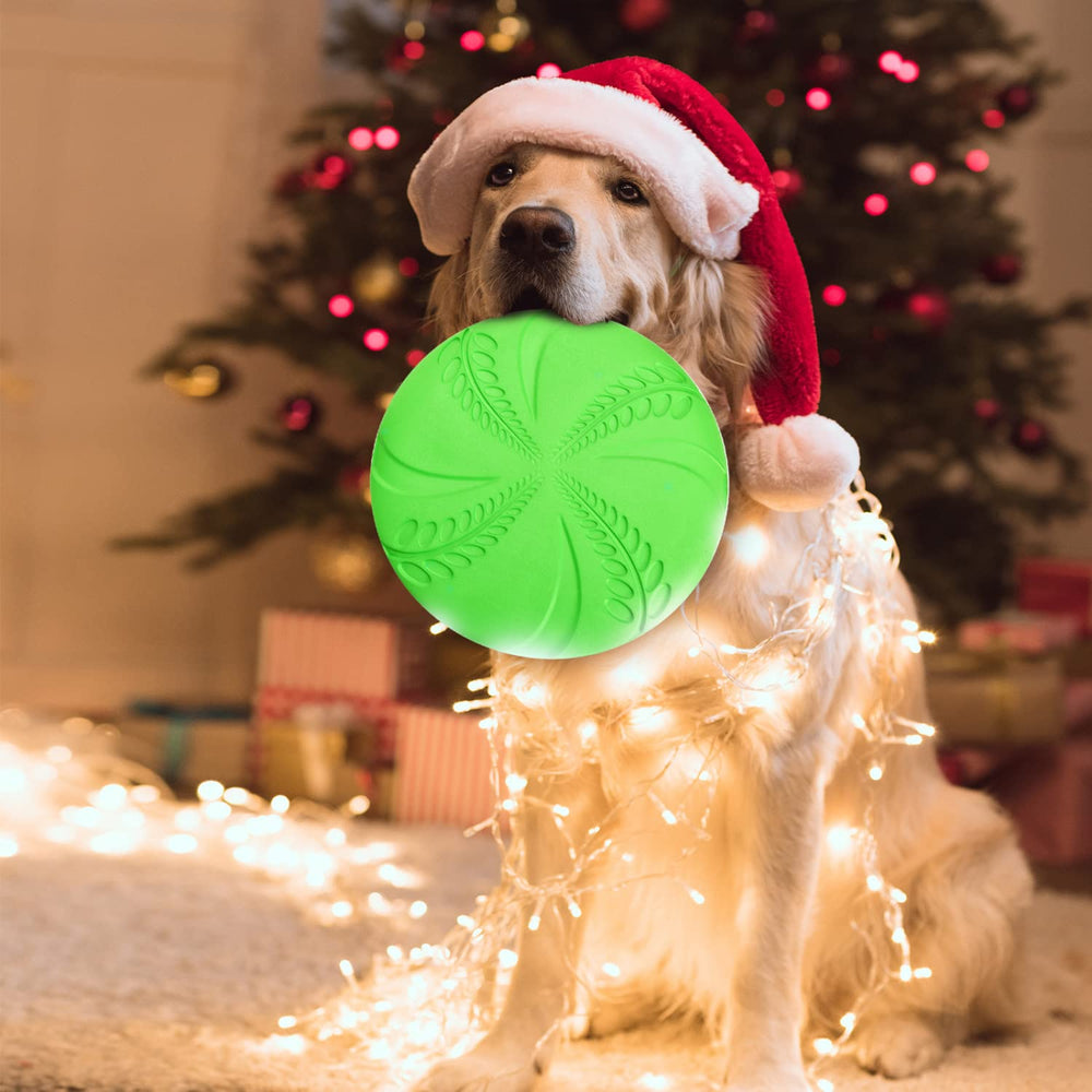 Nobleza disque-chien volants usage eau vert – pratique et polyvalent pour jeux.