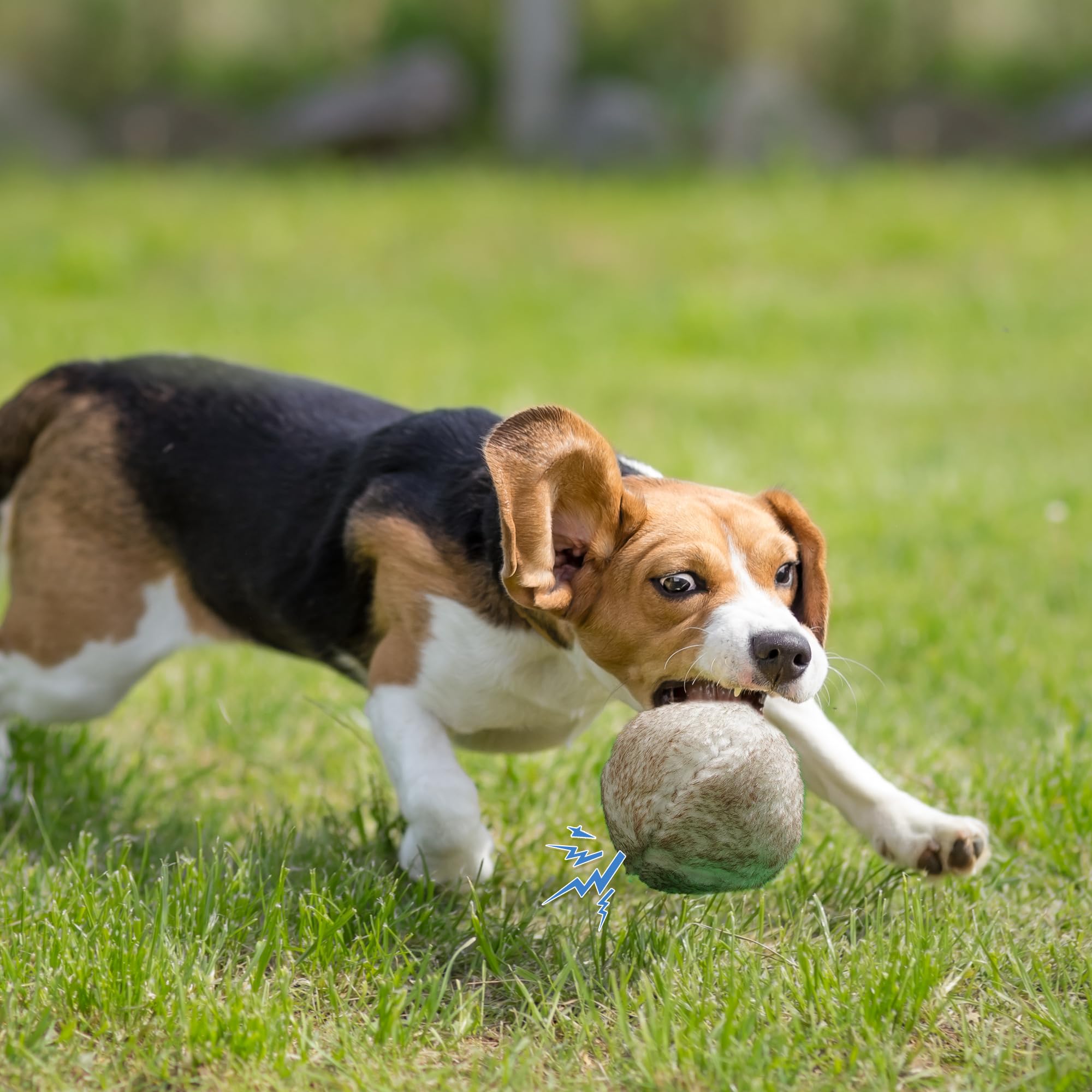 Nocciola balle active pour distraction et exercice, utile contre l’ennui.