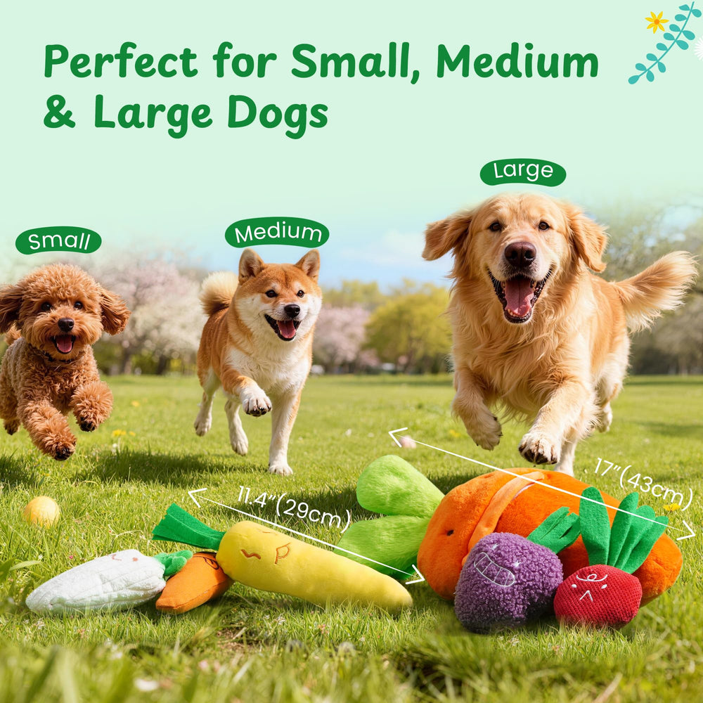 Jouets Nocciola Carotte pour chien : idéal pour tous les gabarits.