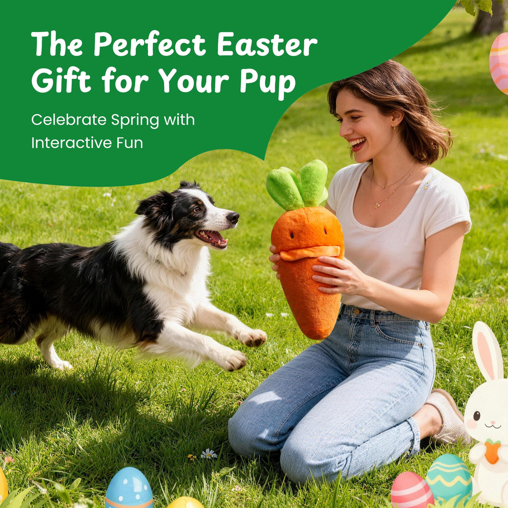 Jouets Nocciola Carotte pour chien : plaisir sensoriel et jeu stimulant.