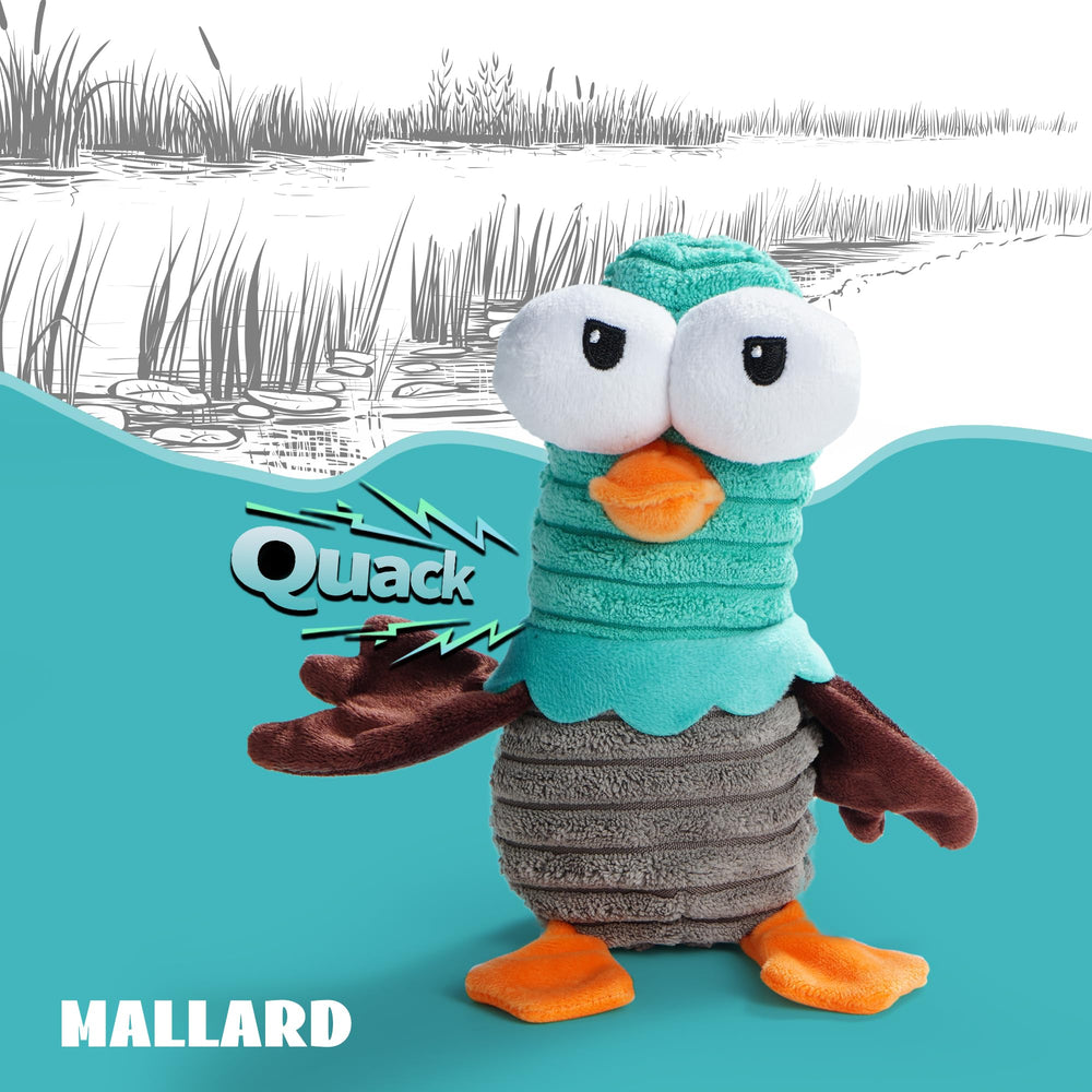 Jouet canard Nocciola, son squeak distinctif pour sessions vivantes.