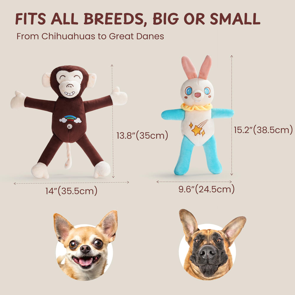 Jouet Nocciola stimulation cognitive pour chiens de toutes tailles.
