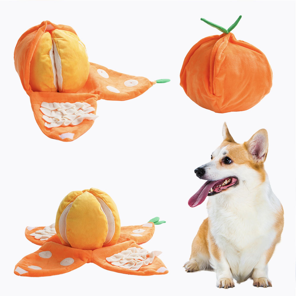 Jouet Nocciola orange Tangerine interactif pour petit chien