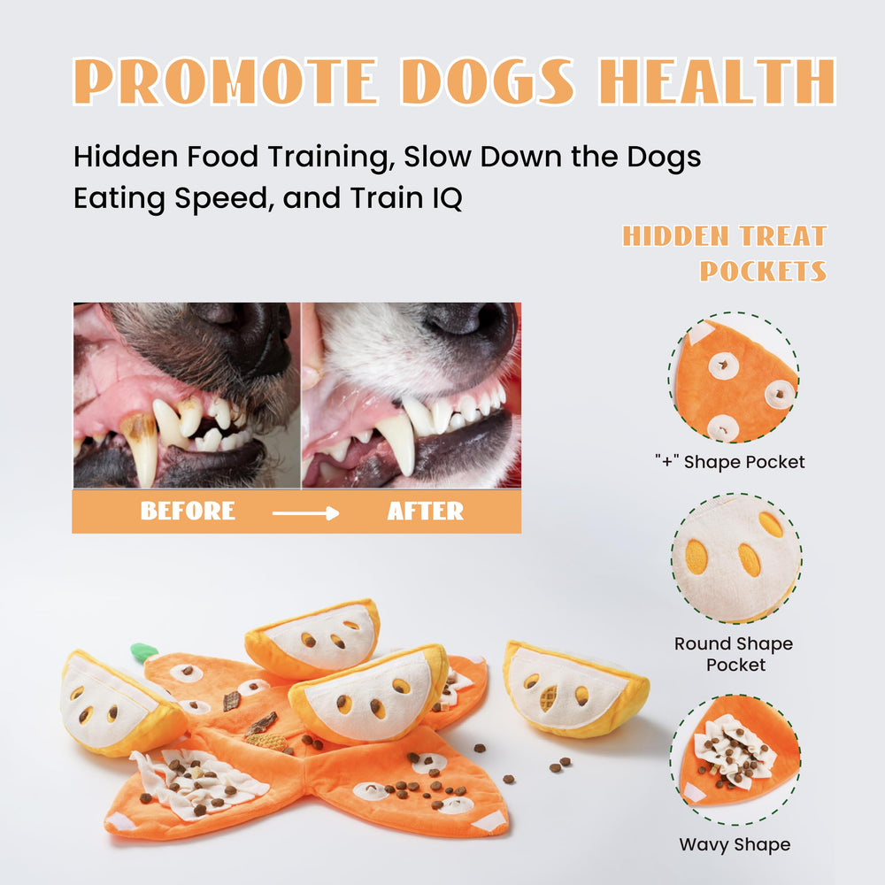 Jouet Nocciola divertissant pour petits et moyens chiens