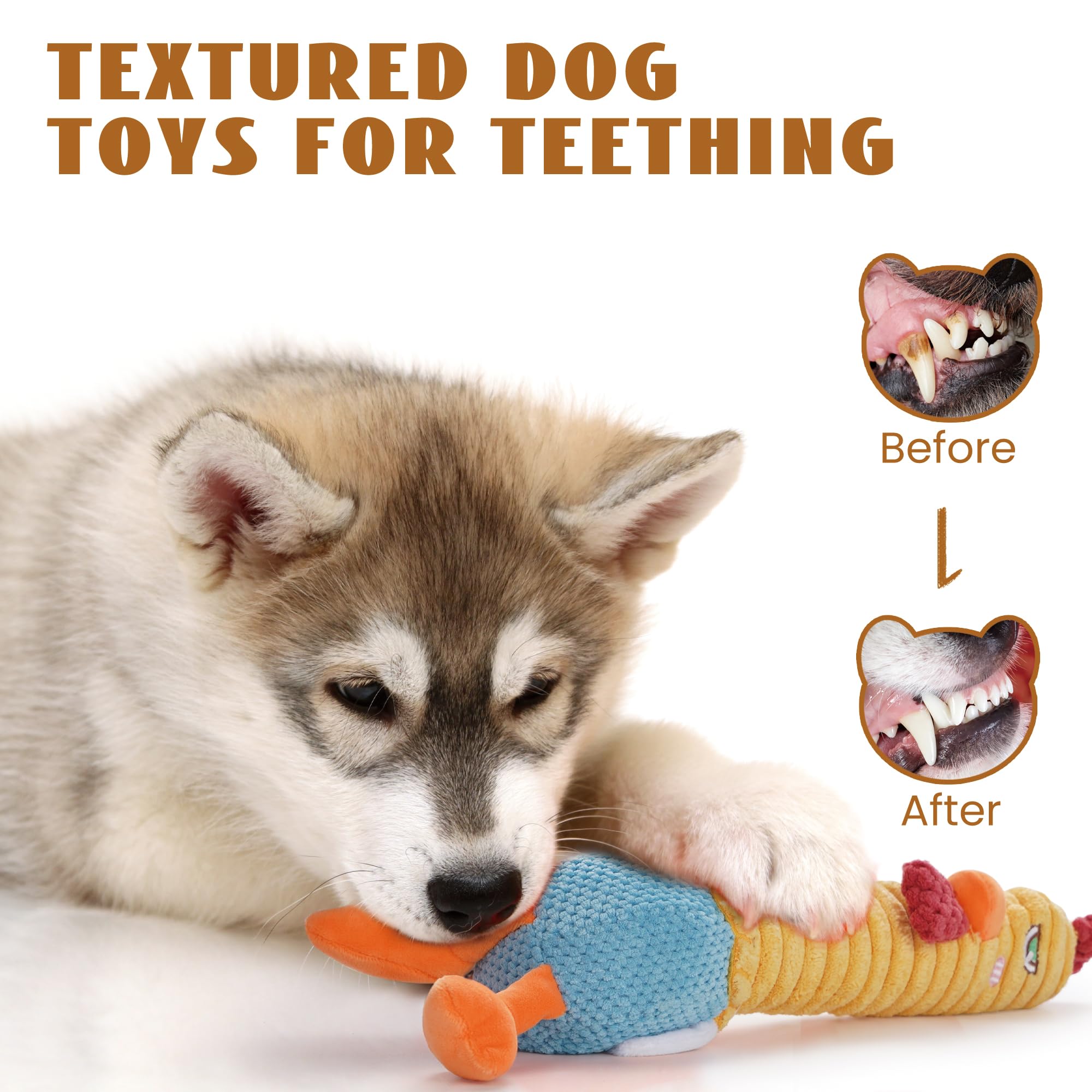 Jouet Nocciola pour chiens moyen et grand, jeu polyvalent.