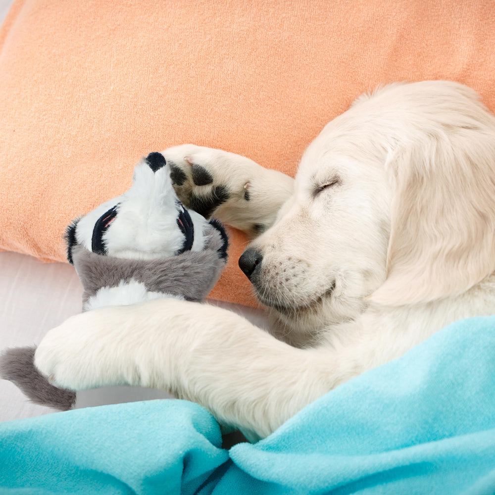 Jouet Nocciola robuste pour morsures fortes, durable et facile a nettoyer.