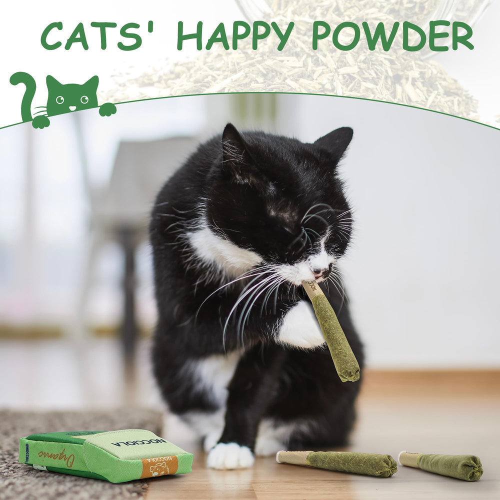 Nocciola jouets-chat-catnip-jeu-coups-patte : parfait pour les coups de patte et la stimulation physique