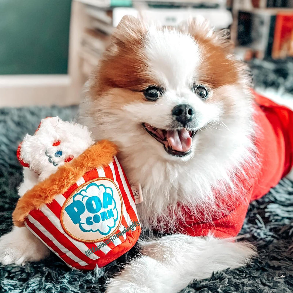 Peluche-cri Nocciola Popcorn, divertissement sonore pour votre chien.