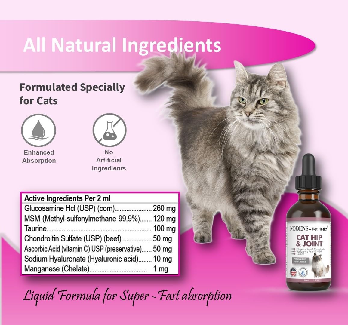 NODENS chat senior mobilité articulation conçu pour les chats âgés.