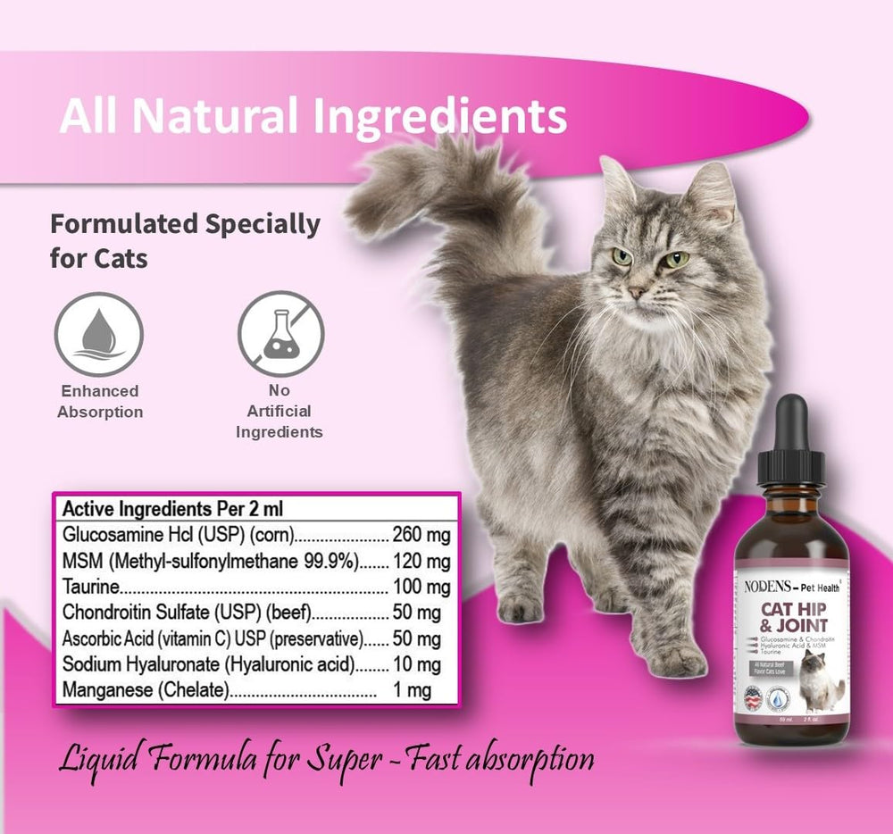 NODENS chat senior mobilité articulation conçu pour les chats âgés.