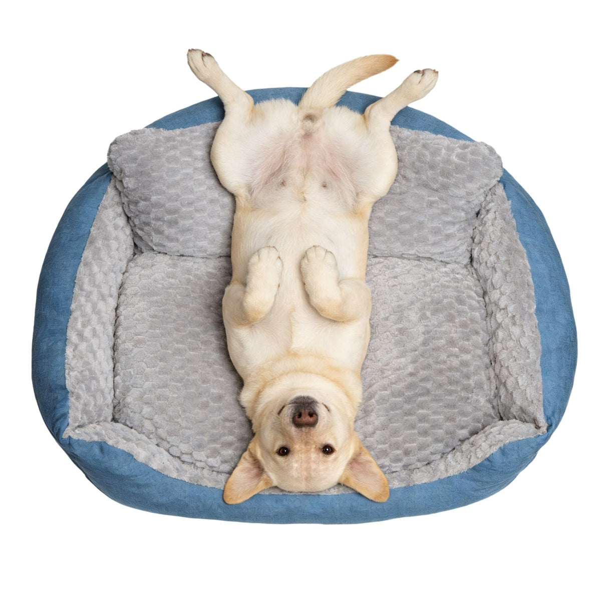 NOFKYNOXA Grand Lit Chien – vue d’ensemble montrant confort et sécurité pour chiens lourds.