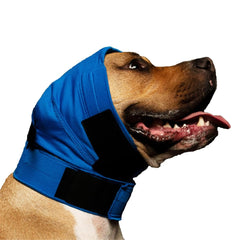 No Flap protection oreilles, maillage bleu pointillé, maintien confortable.