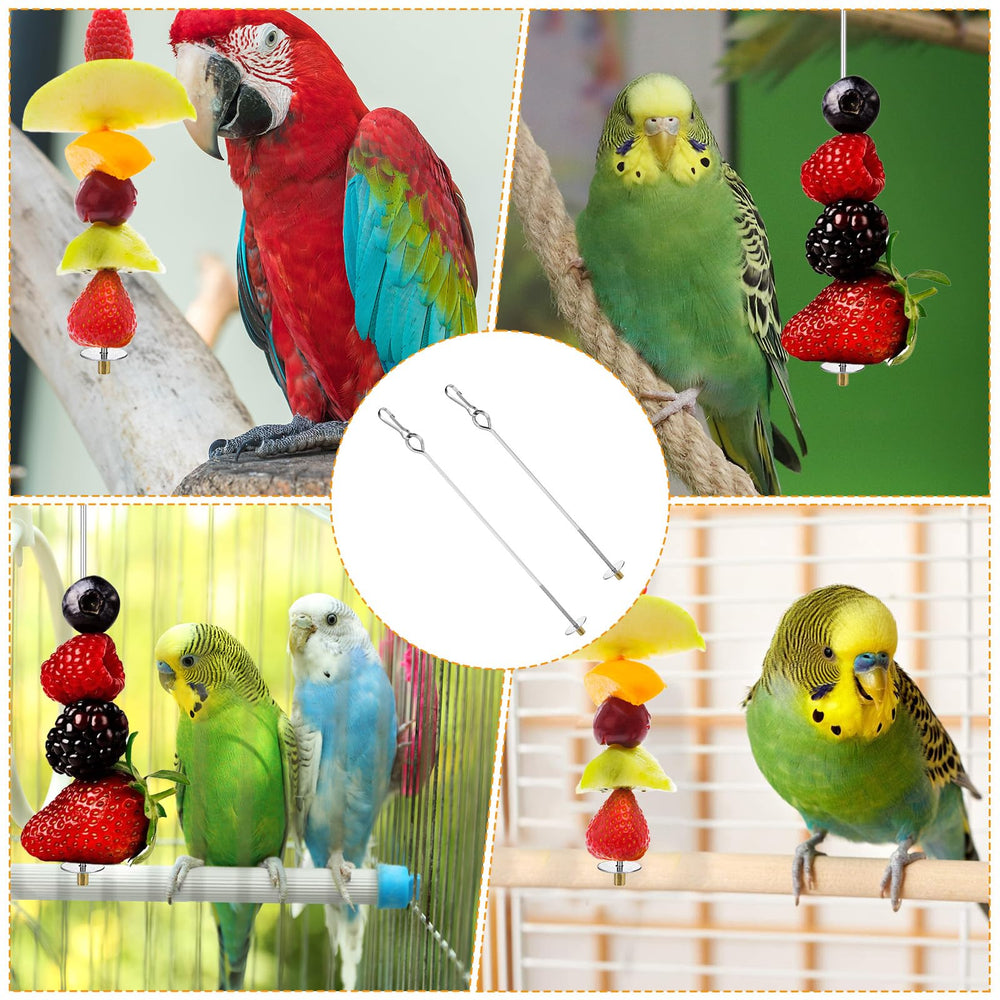 Nogeqi compatible avec plusieurs espèces d'oiseaux, versatilité accrue.