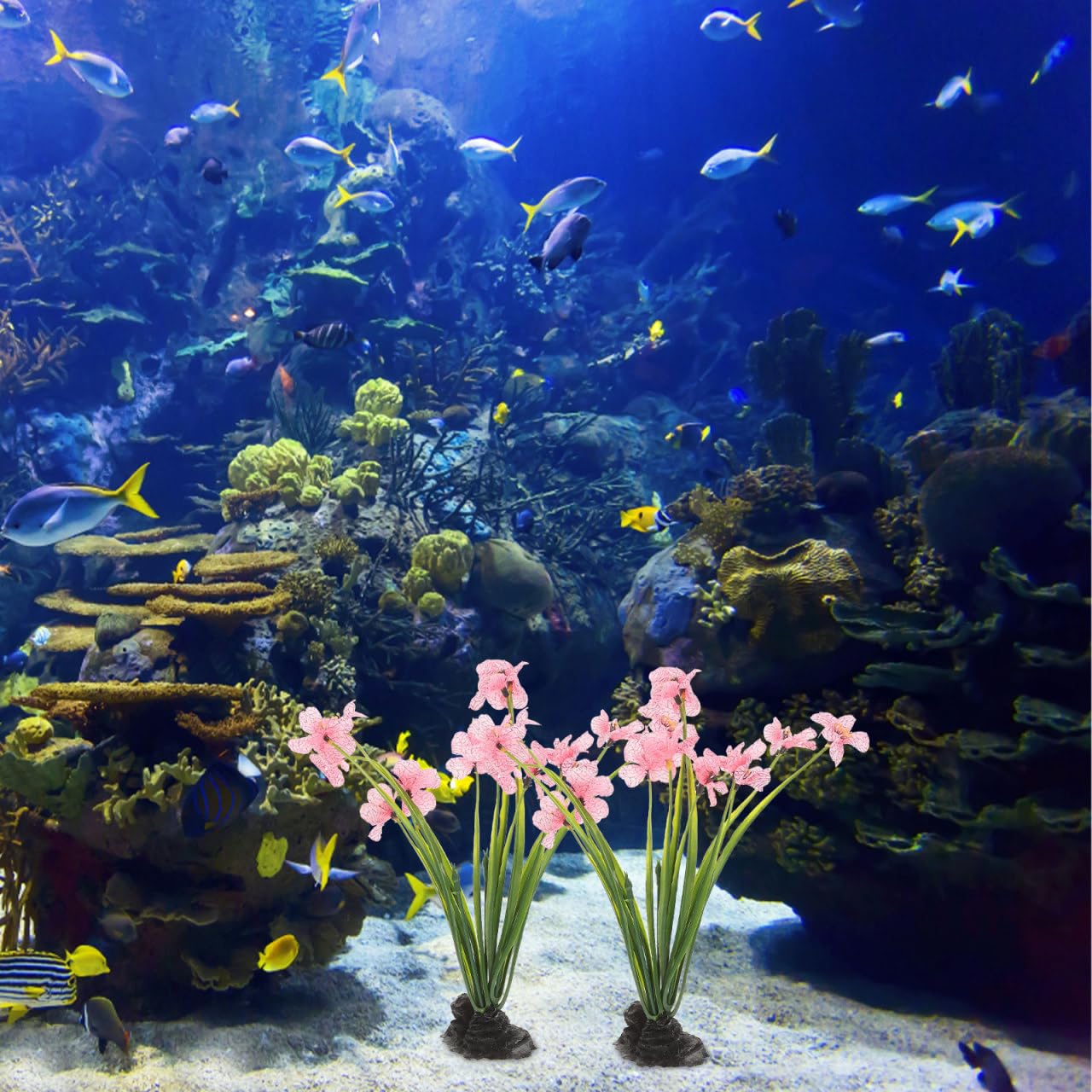 NOLITOY collection décor rose parfait pour aquariums et aménagement aquatique