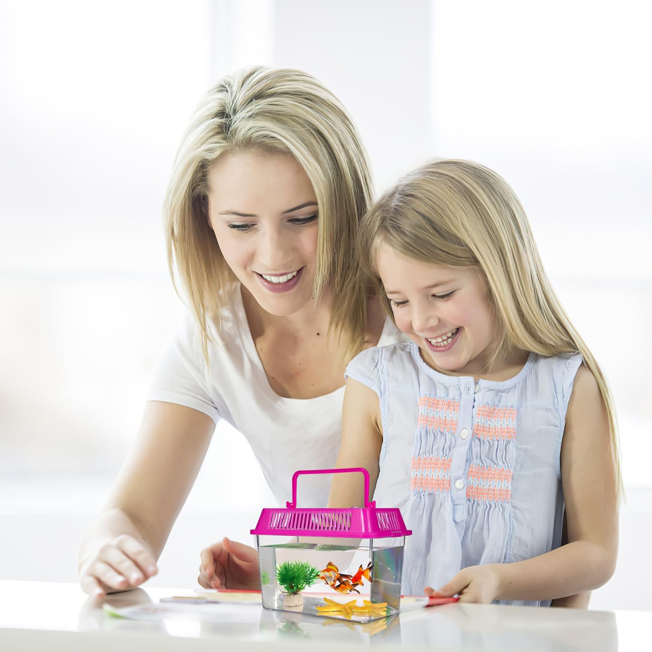 NOLITOY habitat-tortue-mini, terrarium compact pour petites espèces en bureau.