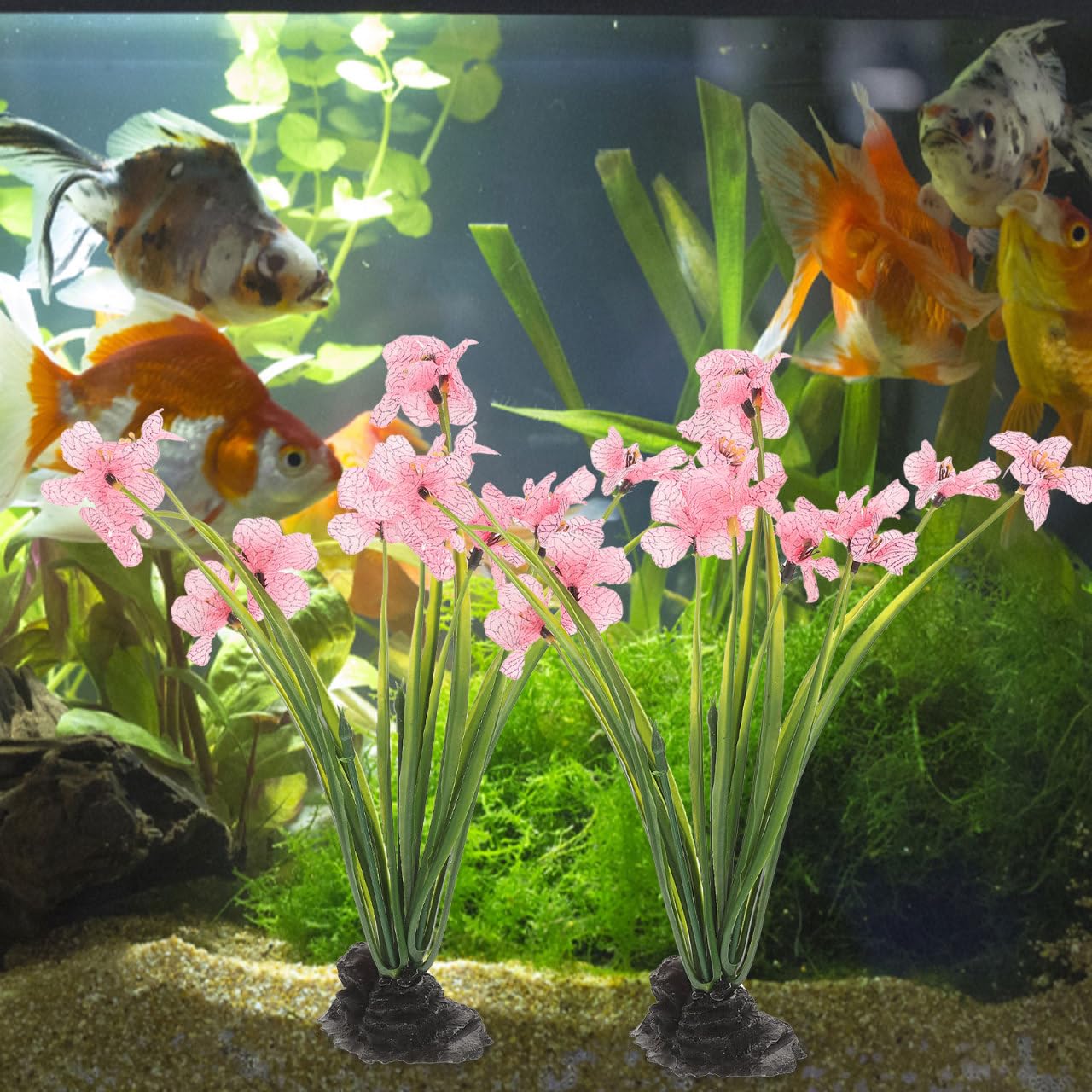 NOLITOY déco rose pour Betta, point d intérêt visuel et agréable
