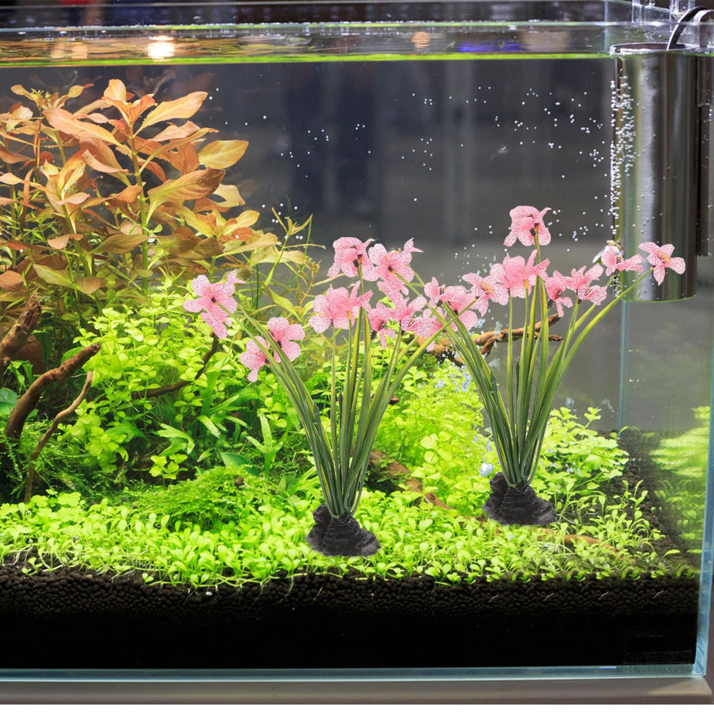 NOLITOY plantes d aquarium rose durable et sans toxines pour votre bac