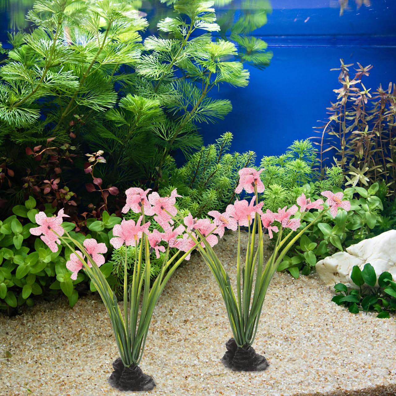NOLITOY plantes décoratives roses pour bac faible entretien