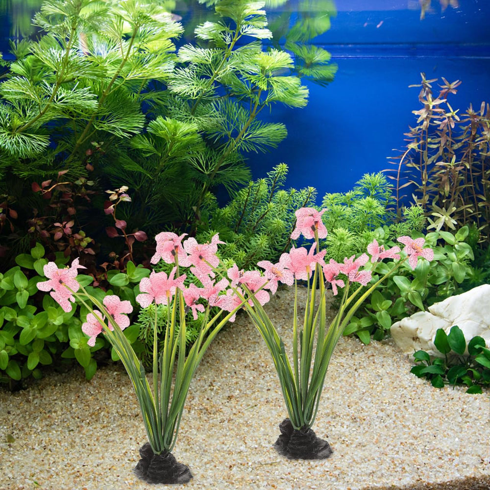 NOLITOY plantes décoratives roses pour bac faible entretien