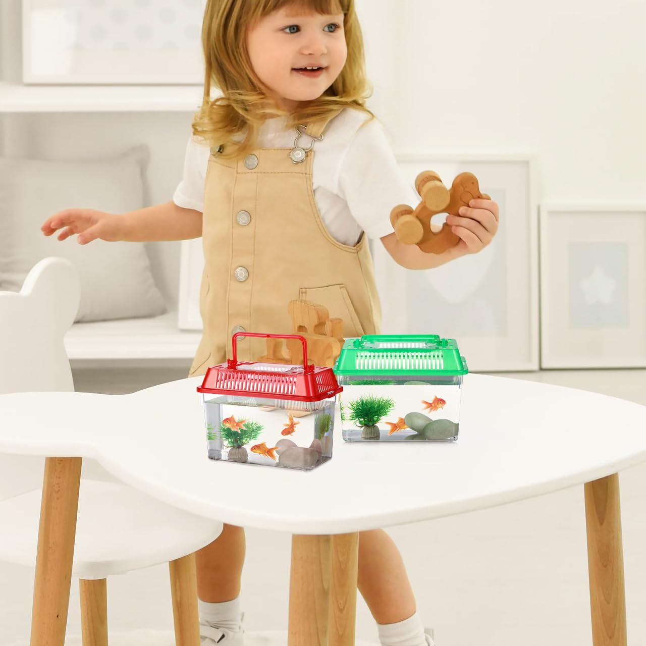 NOLITOY terarium-educatif-petite-maison, contenance légère pour expériences scientifiques.