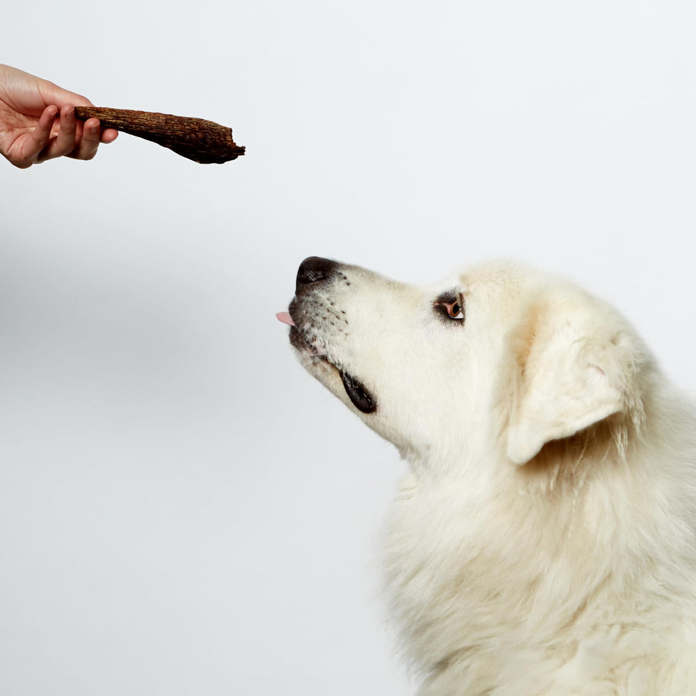 Nom Nom Beef Jerky – Préparé aux États‑Unis, gage de qualité et de traçabilité.