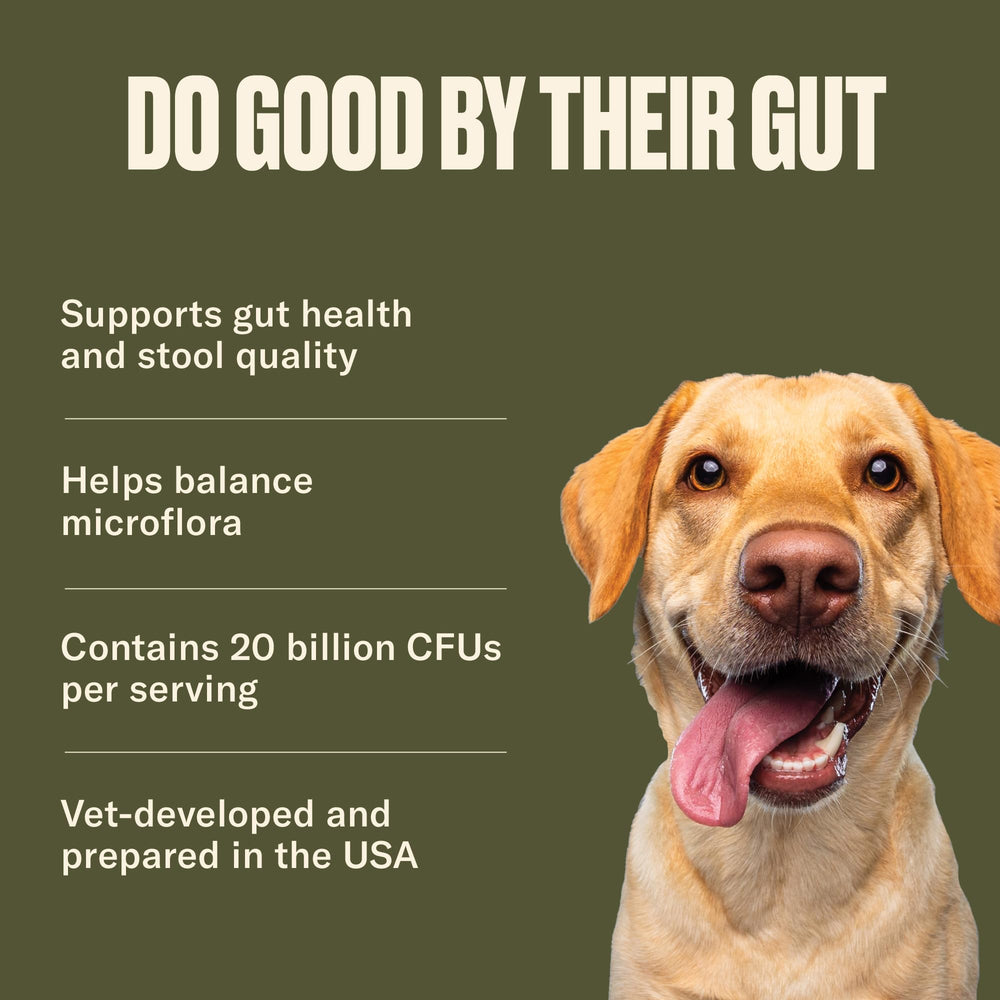 Nom Nom Probiotique Chien – Mélange facile à ajouter à la nourriture.