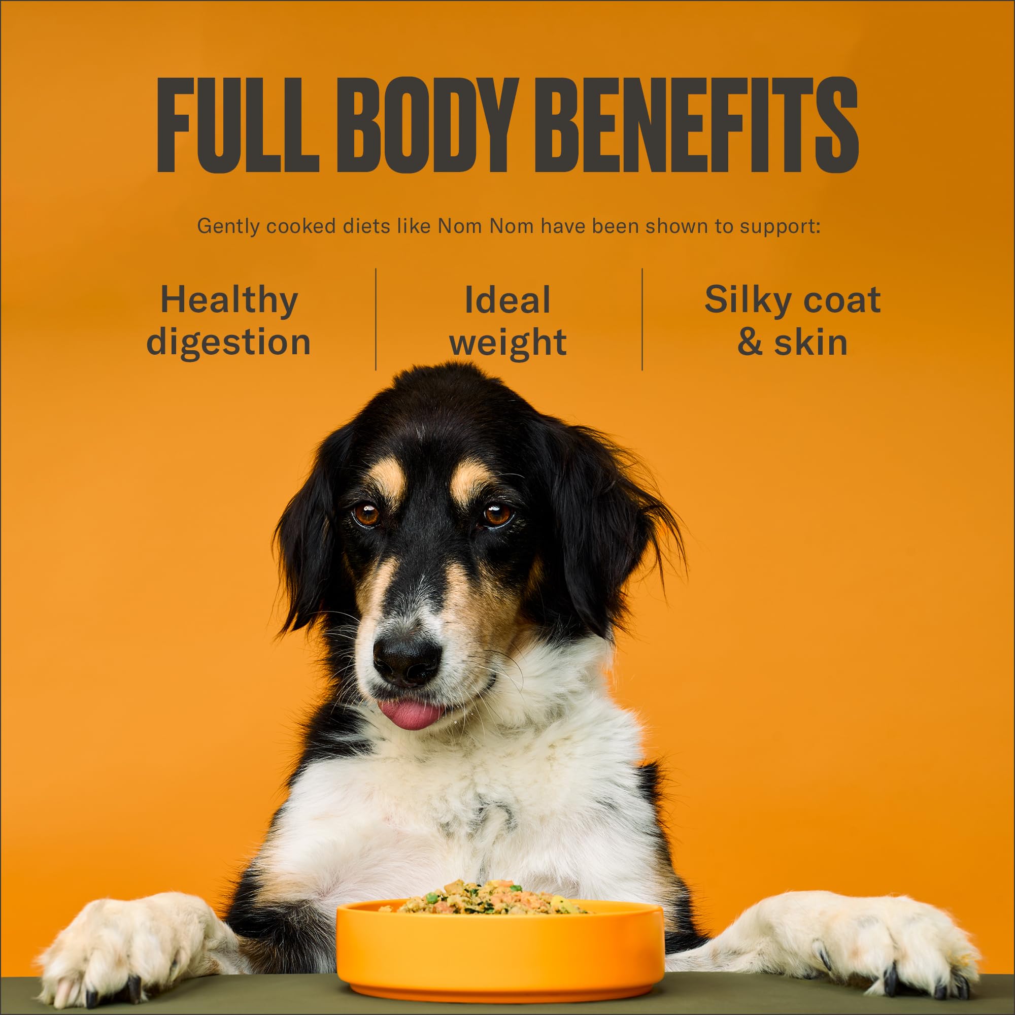 nom-nom vet formulé nutrition complete, soutien digestif et énergie durable.