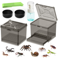Nomoy Kit Habitat Insectes prêt à utiliser, idéal pour accueillir petits insectes en toute sécurité.