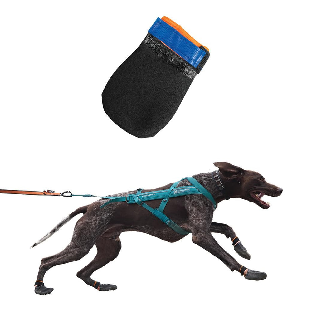 Non-stop dogwear bottes-protection-patte: protège efficacement les pattes contre surfaces chaudes et rugueuses.