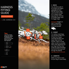 Enfilage facile avec deux clips durables du harnais Line 5.0.