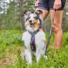 Harnais Line 5.0 de Non-stop dogwear, rembourrage doux pour un port confortable.