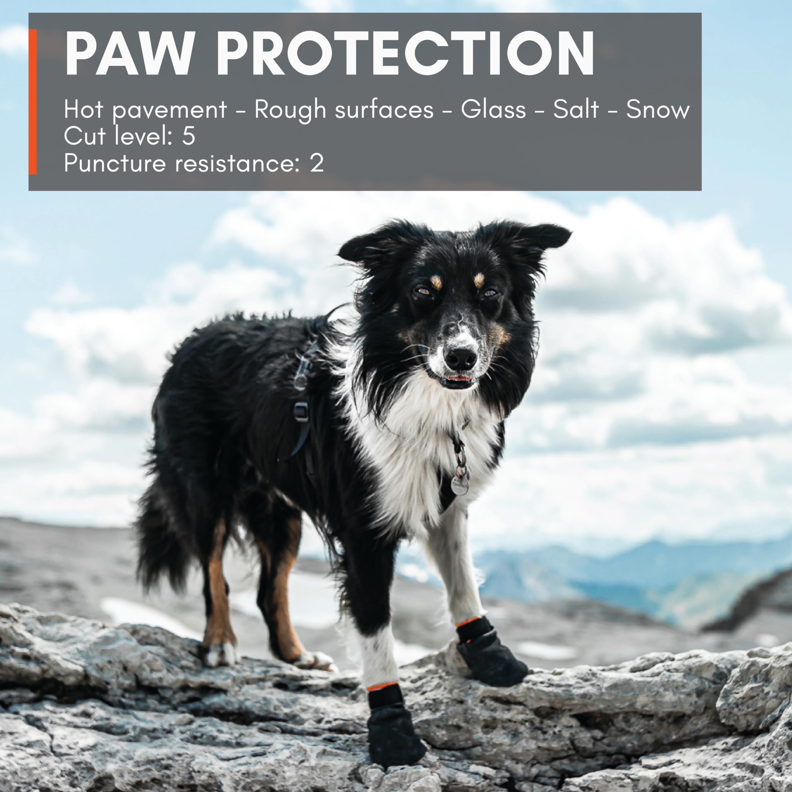 Non-stop dogwear Protector Booties – adhérence renforcée sur sols glissants.