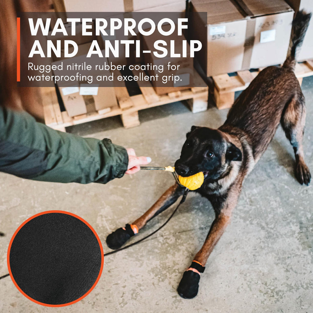 Non-stop dogwear Protector Booties – testées par des professionnels canins.